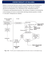 15. CHEMOTHERAPY OF MALARIA.pdf