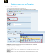 Credit management in S4HANA.docx