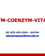 LEC - ENZYM, COENZYM, VITAMIN.pdf