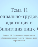 Презентация Социально-трудовая адаптация.pps