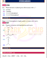 13. HYDROCARBONS.pdf