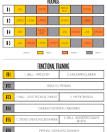 BF Challenge 252 ES.pdf