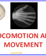 20. LOCOMOTION AND MOVEMENT.pptx