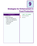 STRATEGIES FOR ENHANCEMENT IN FOOD PRODUCTION_(232-262).pdf