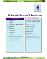 MOLECULAR BASIS OF INHERITANCE-(1-63).pdf