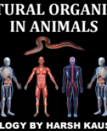 STRUCTURAL ORGANISATION IN ANIMALS NOTES BY ZHK SIR.pdf