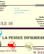 cours de la pensée infirmière EX 1 19-20.pdf