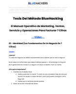 Los 4 Pilares De Un Negocio De 7 Cifras Online (Tesis Del Método BlueHacking)