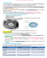 21. Virus à ADN (Herpesviridae, Réo, R.S)