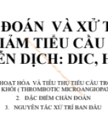 Chan doan va xu tri ban dau Giam TIEU Cau DIC HUS TTP....pdf