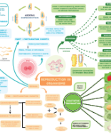 01. REPRODUCTION IN ORGANISMS.pdf