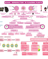 02. SEXUAL REPRODUCTION IN FLOWERING.pdf