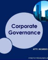 6 - Corporate Governance (May 2024).pdf