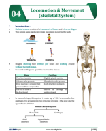 LOCOMOTION & MOVEMENT (SKELETAL SYSTEM).pdf