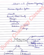 ch1 digestion & absorption scc notes.pdf