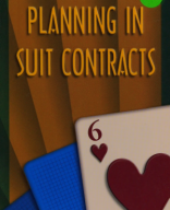 Planning in Suit Contracts.pdf