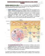 SEMANA 15