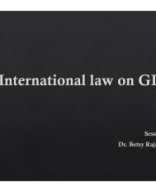 Session 11 - International law on GI.pdf