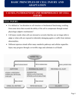 1.Cell Injury (Part-1).pdf