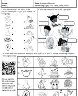 5 senses of human.pdf