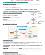 LES ANTI INFLAMMATOIRE ( AINS+CORTICOIDE).pdf