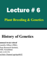 Lecture # 6 of PBG (PARC).pdf