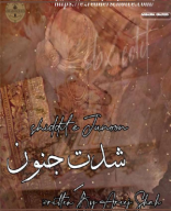 shidat e junoon Complete By Areej Shah.pdf