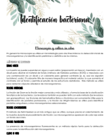 Clase 3 (2)-Identificación bacteriana.pdf