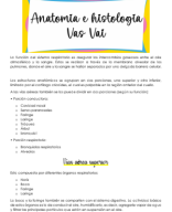 Clase 1-Anatomia e histologia VAS VAI.pdf