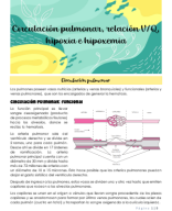 Clase 6-Circulación pulmonar, relación vq, hipoxia e hipoxemia.pdf