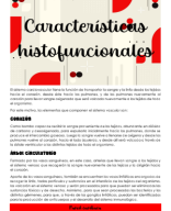 Clase 11-Características histofuncionales del sistema circulatorio.pdf