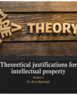 Session 2 - Theories of IP.pdf