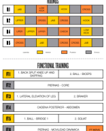 BF Challenge 254 ES.pdf