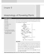 Med-RM_Bot_SP-1_Ch-5_Morphology of Flowering Plants.pdf