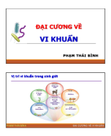 Vi sinh các ngành - Lý thuyết (BM Xét nghiệm).pdf