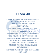 40 TEMA PMM 2024.pdf