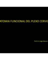 Copia de Clase 08 Dr. Moscol.pdf