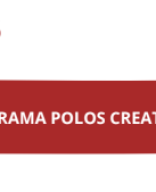 Resumen Polos creativos.pdf