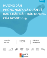  Hướng dẫn phòng ngừa và quản lý bàn chân đái tháo đường IWGDF 2019.pdf