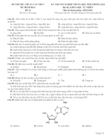 43. Đề thi thử bám sát cấu trúc đề minh họa TN THPT 2024 - Môn Sinh Học - Đề 44 - File word có lời giải.docx