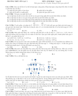 16. Đề thi HK1 môn Sinh lớp 12 Trường THPT Yên Lạc 2 - Vĩnh Phúc - Mã đề 178 (có lời giải chi tiết).doc