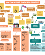 10. HALOALKANES AND HALOARENES.pdf