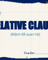 39. RELATIVE CLAUSES.pptx