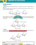 Bài 6. Tinh bột và cellulose - GV.Image.Marked.pdf