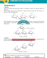 Bài 6. Tinh bột và cellulose - HS.Image.Marked.pdf