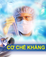 CƠ CHẾ CỦA KHÁNG SINH.pptx