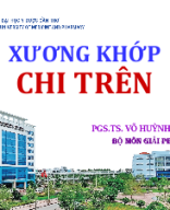 2 Xuong chi tren.pptx