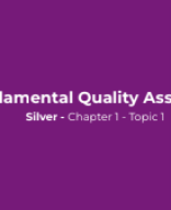 CH 1 TOP 1 - Quality Assurance Intro - Fundamental Quality Assurance.pdf