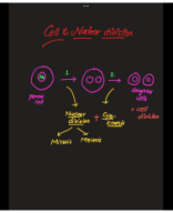 Cell and Nuclear Division.pdf