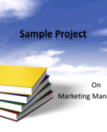 Sample project marketing page wise (1).pdf